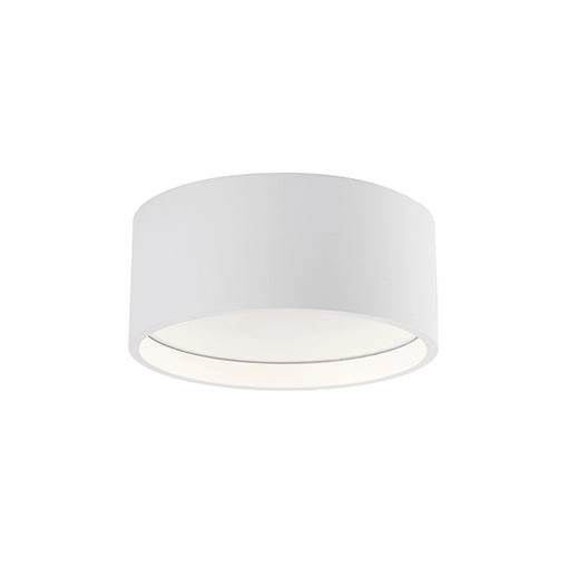 Trenton Outdoor Ceiling LightWeatherproof outdoor lighting