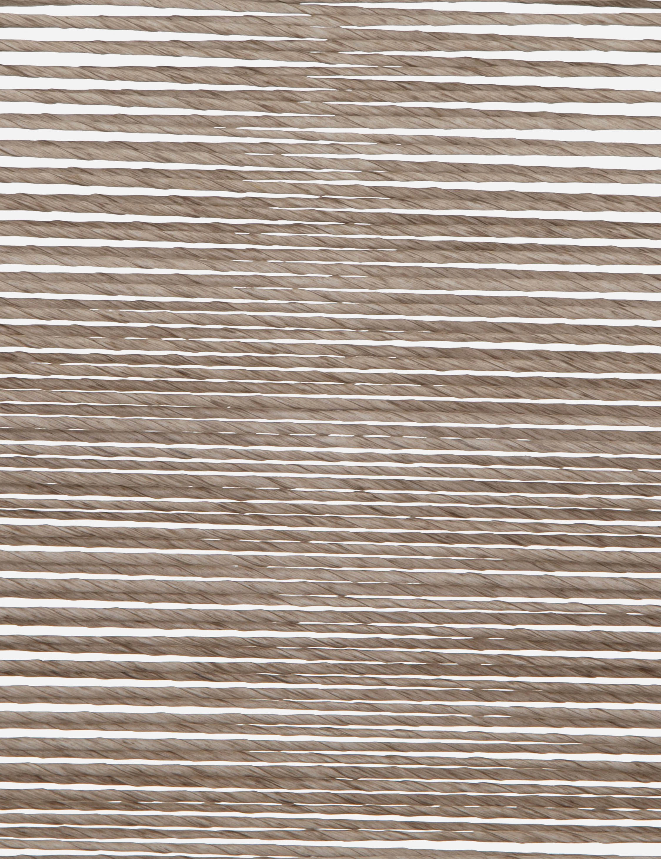 Wally Indoor / Outdoor Dining Chair