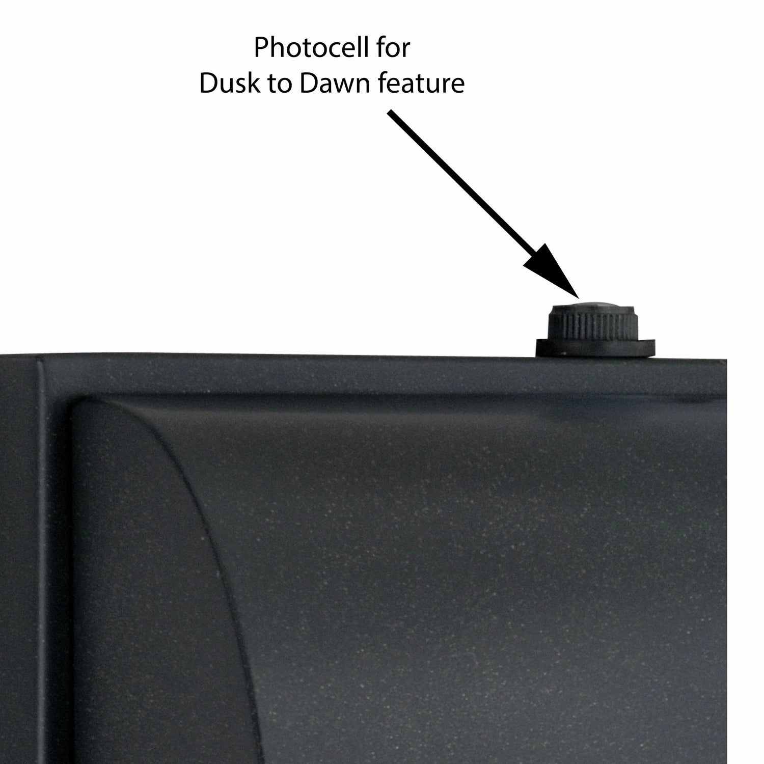 Walsh One Light Outdoor Wall Mount Dark Bronze