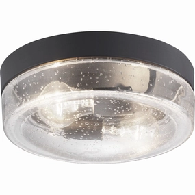 Weldon Outdoor Ceiling LightWeatherproof outdoor lighting