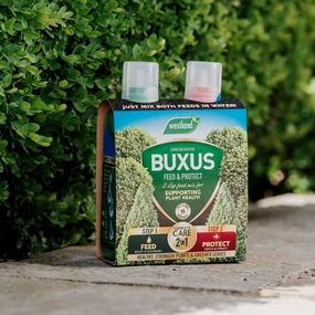 Westland Buxus 2 in 1 Feed & Protect premium quality garden tool set with case
