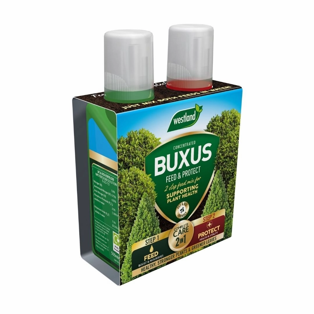 Westland Buxus 2 in 1 Feed & Protect