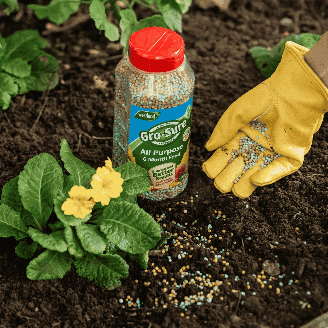 Westland Gro-Sure All-Purpose 6 Month Plant Feed