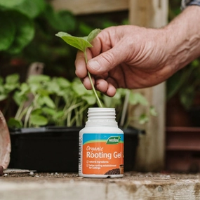 Westland Rooting Gel premium quality garden tool set with case