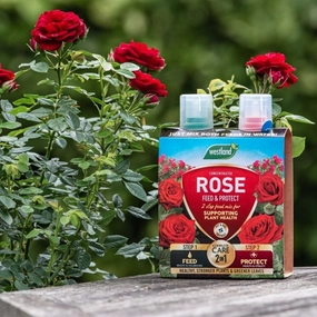 Westland Rose 2 in 1 Feed & Protect premium quality garden tool set with case