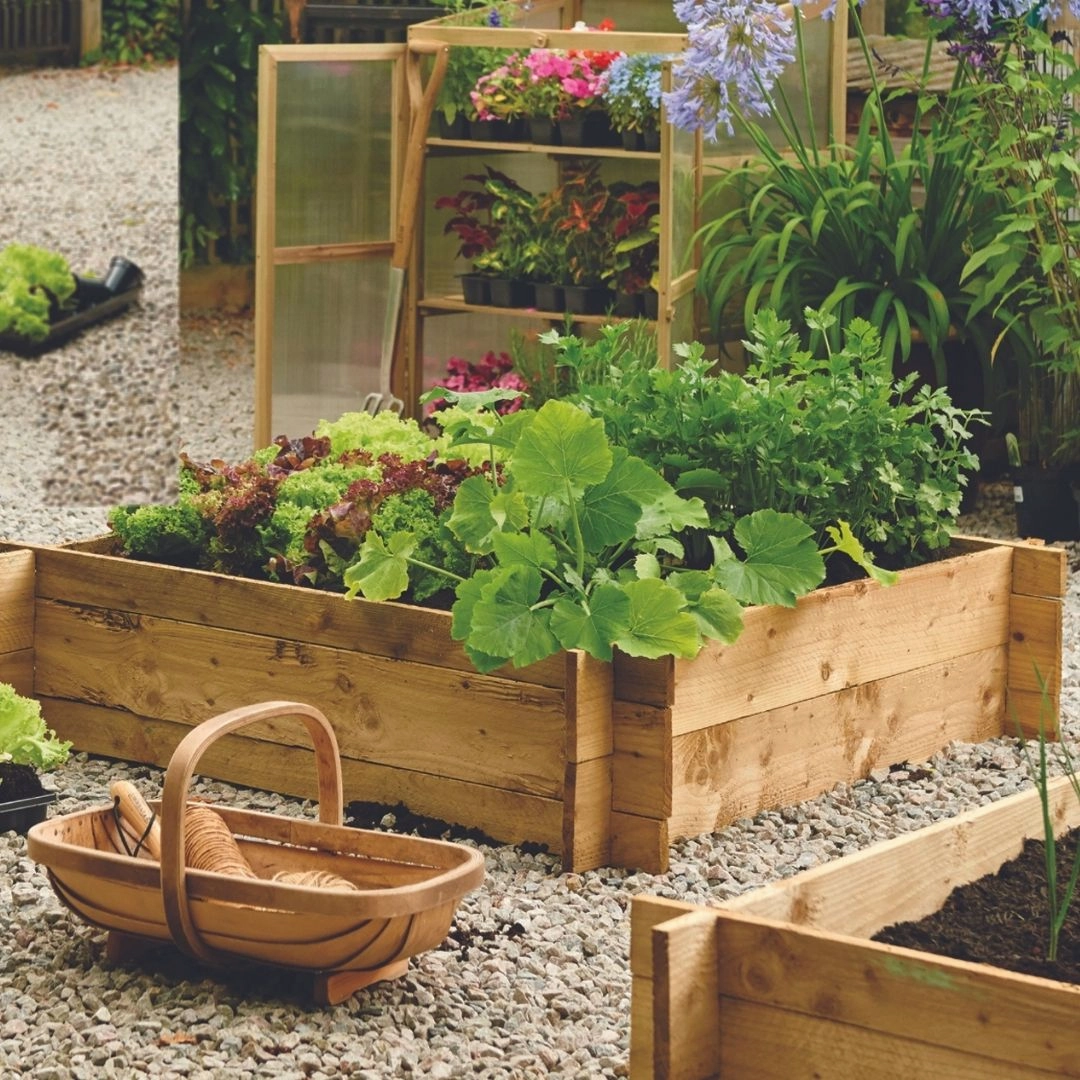 Westland Wooden Raised Bed premium quality garden tool set with case