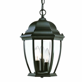 Wexford Outdoor PendantWeatherproof outdoor lighting