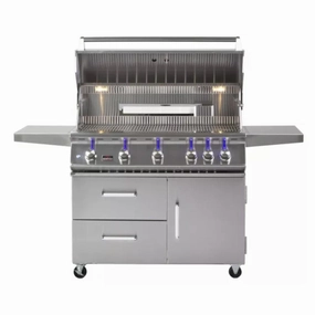 Whistler by Bonfire Outdoor Prime 500 42 inch 5-Burner Freestanding Propane Grill with Infrared Rear Burner CBF500CDC-LP large capacity charcoal BBQ grills
