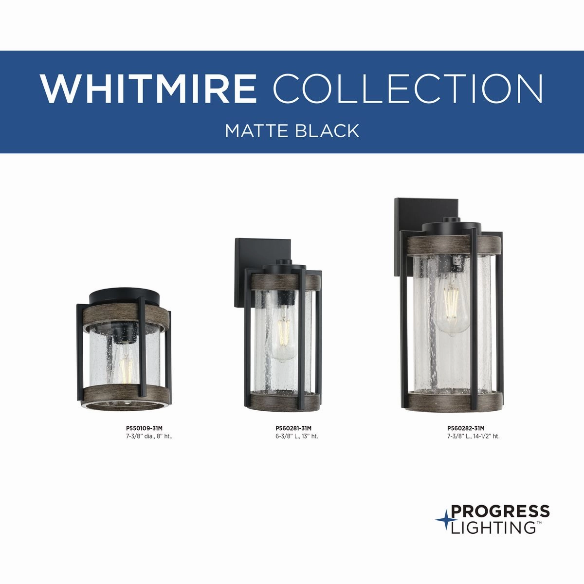 Whitmire One Light Wall Lantern Matte Black