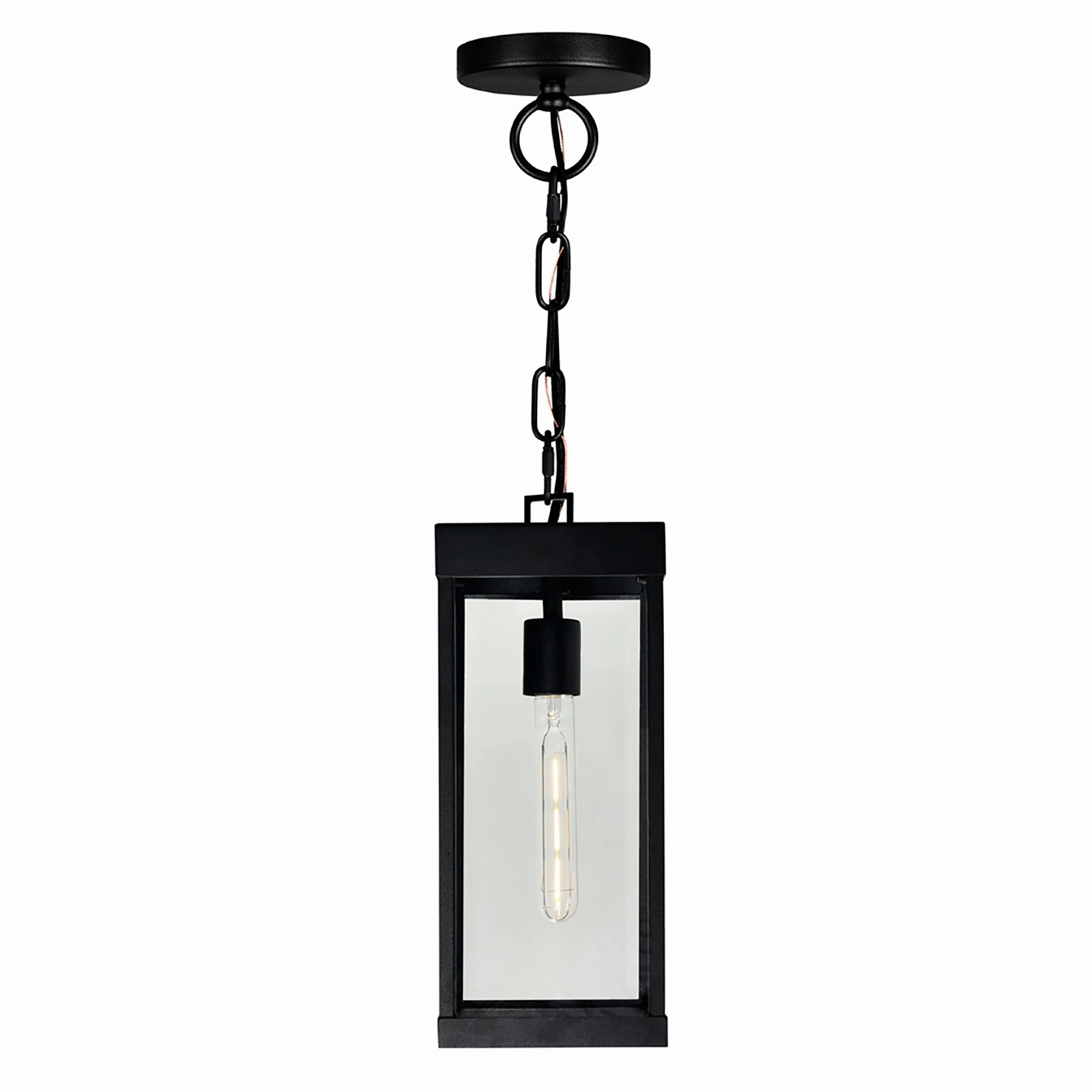 Windsor 1-Light Outdoor Pendant