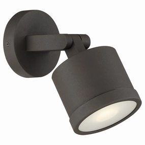 Zone Dual Mount LED Spotlight BronzeColor changing landscape spotlights