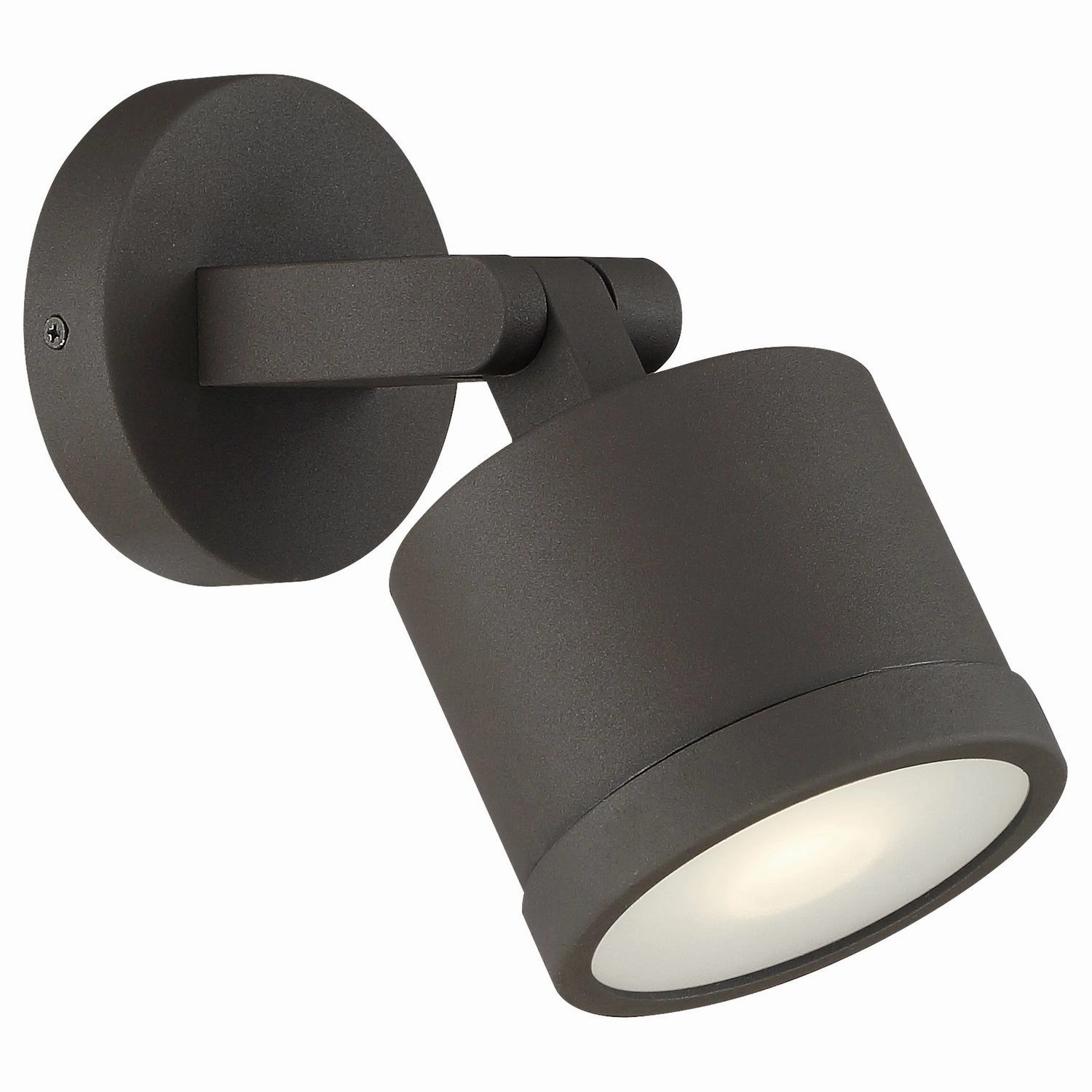 Zone Dual Mount LED Spotlight BronzeColor changing landscape spotlights